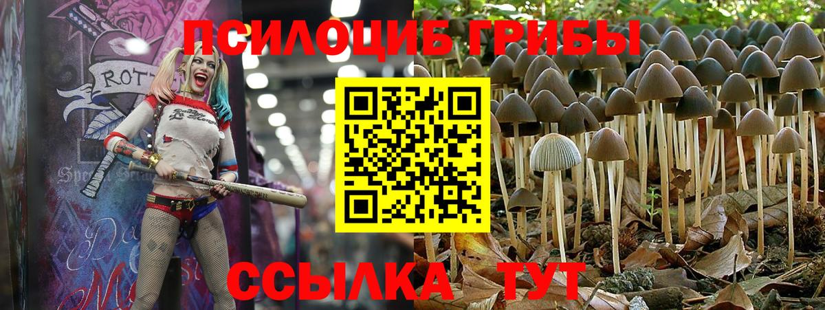 Псилоцибиновые грибы прущие грибы  Вход с VPN  Кыштым 