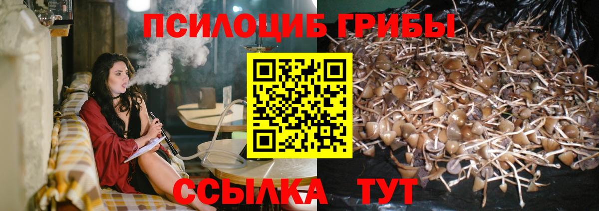 Псилоцибиновые грибы Magic Shrooms Кыштым